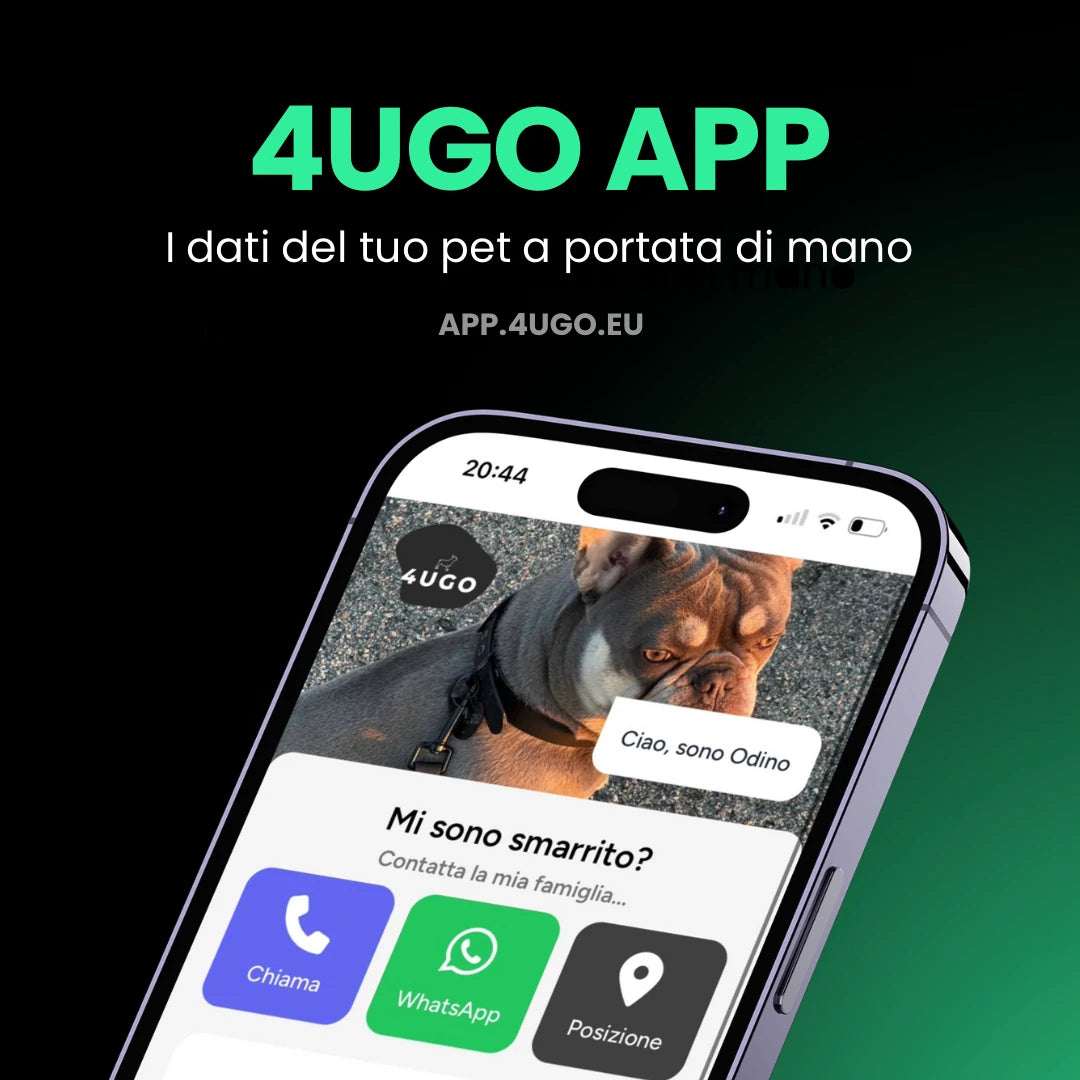 Set collare e guinzaglio per cani in BioThane® con QR-code