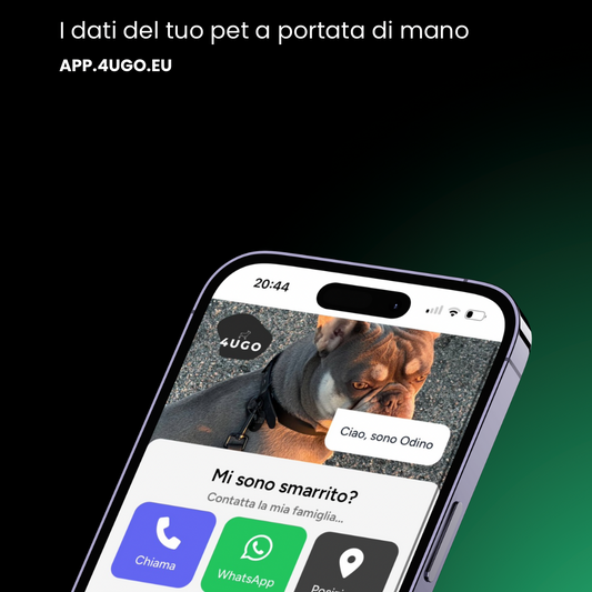 Medaglietta personalizzata per Cani
