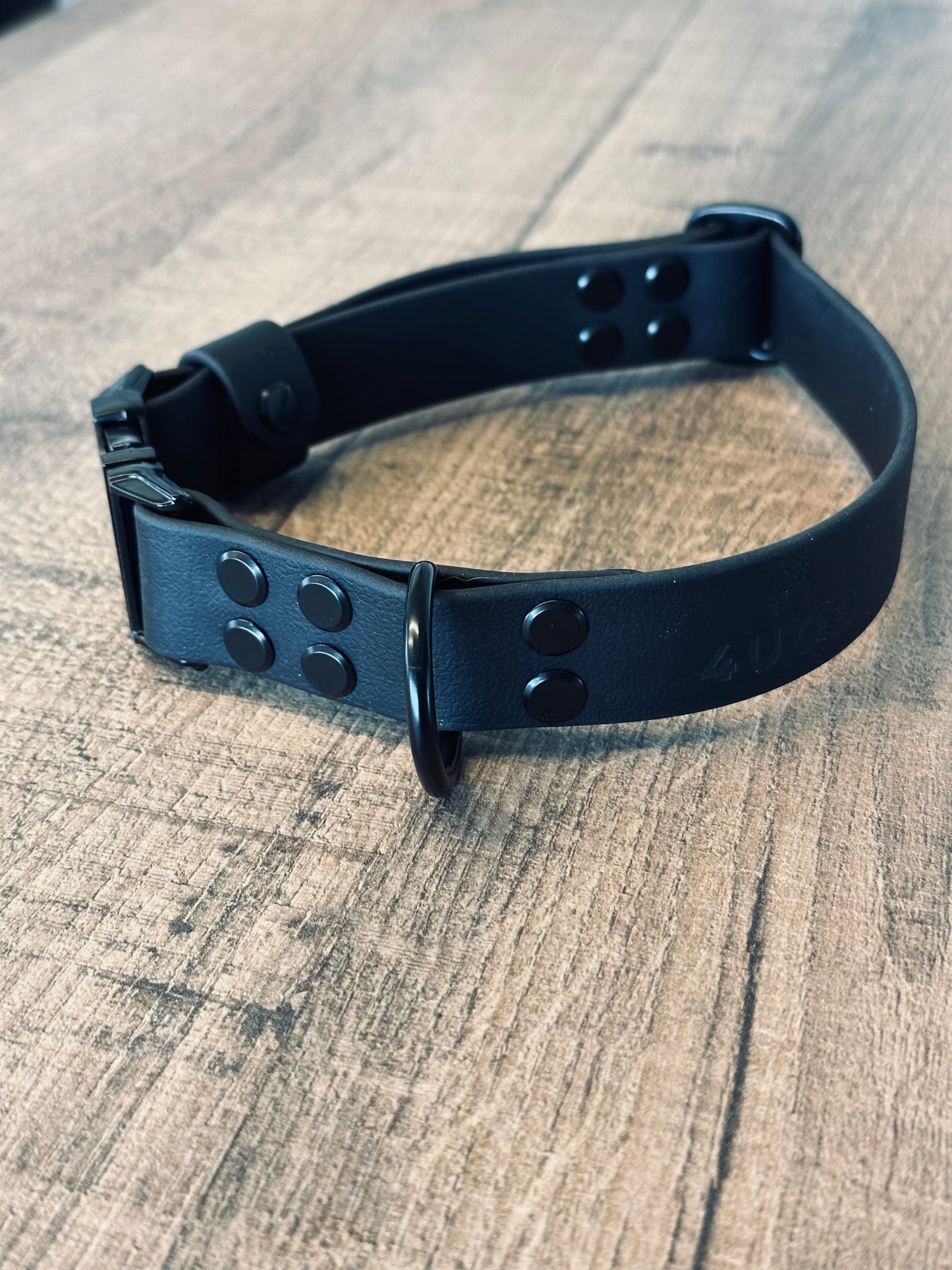 Set collare e guinzaglio per cani in BioThane® con QR-code