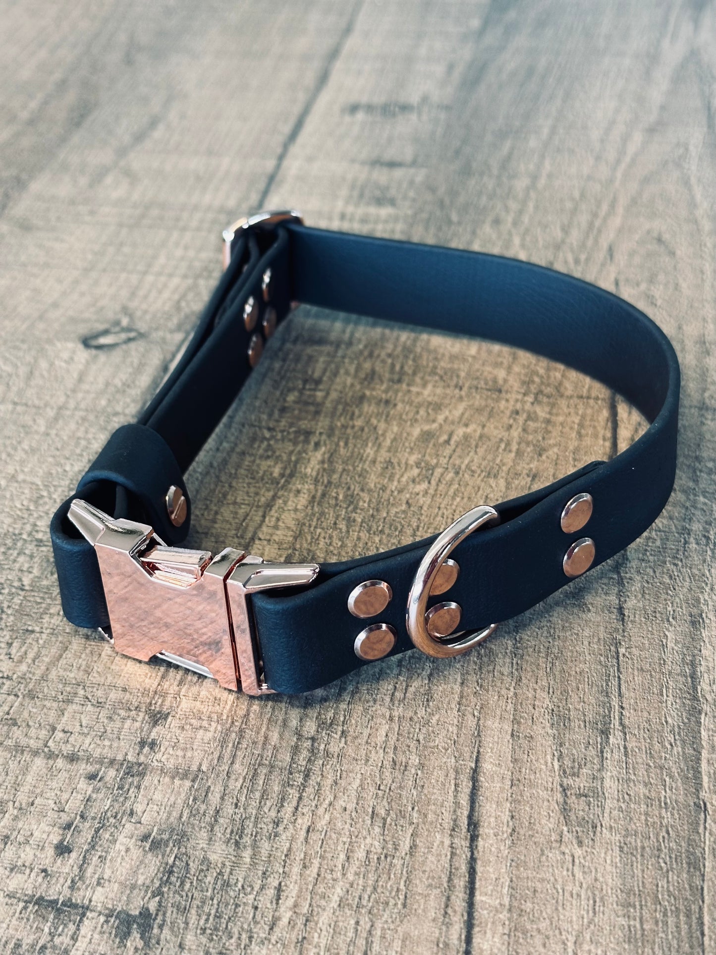 Set collare e guinzaglio per cani in BioThane® con QR-code