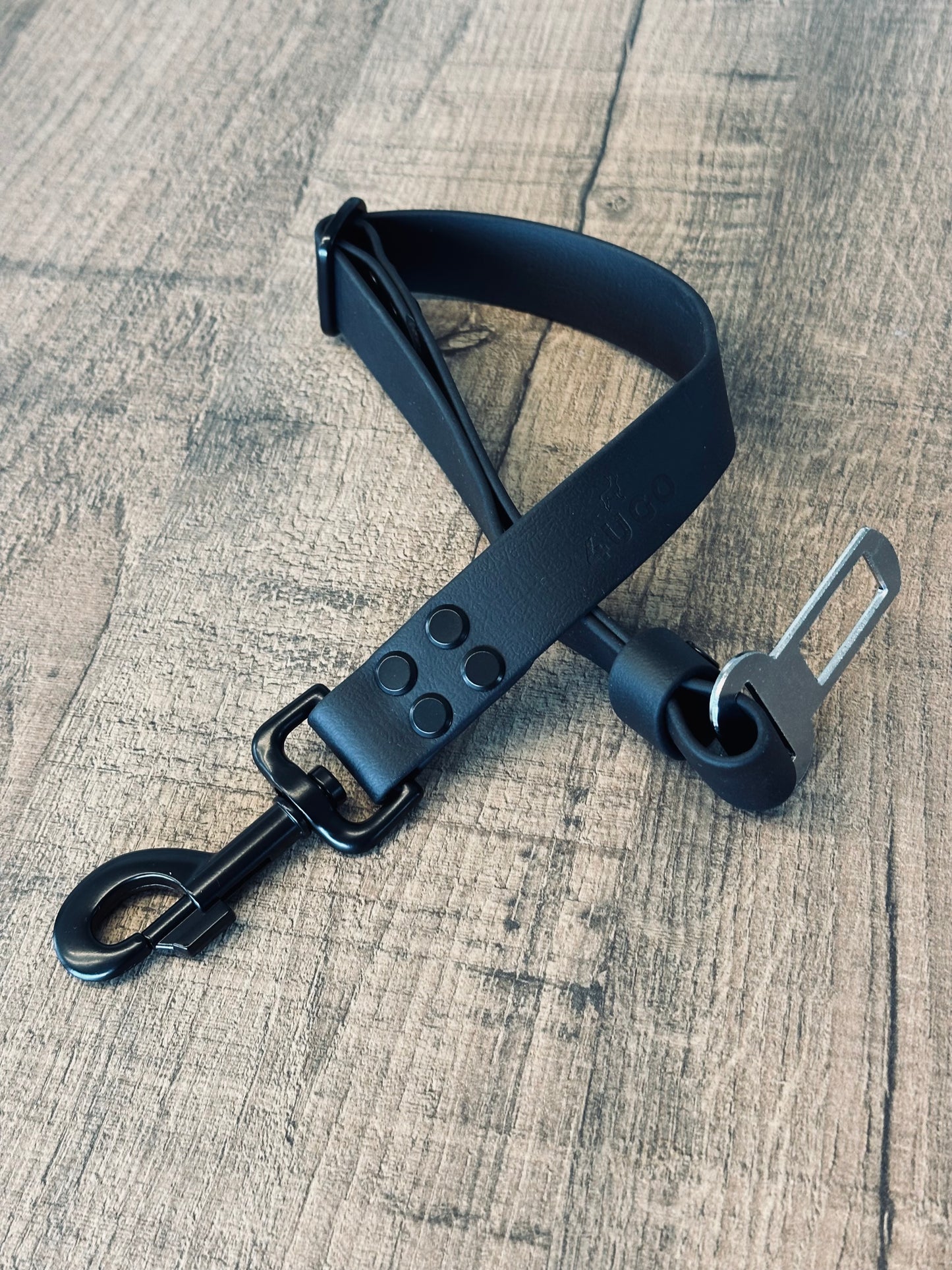 Cintura auto per cani