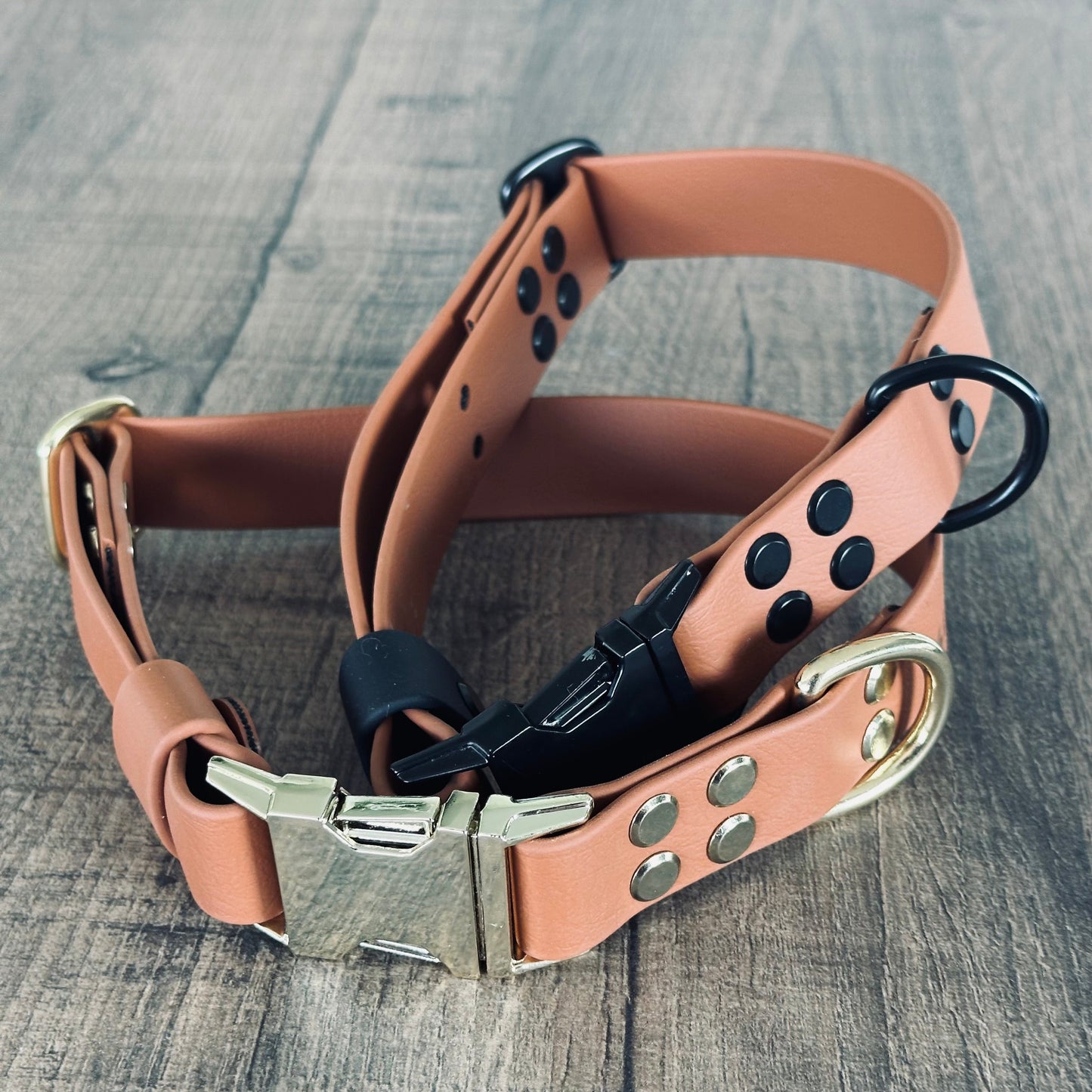 Set collare e guinzaglio per cani in BioThane® con QR-code