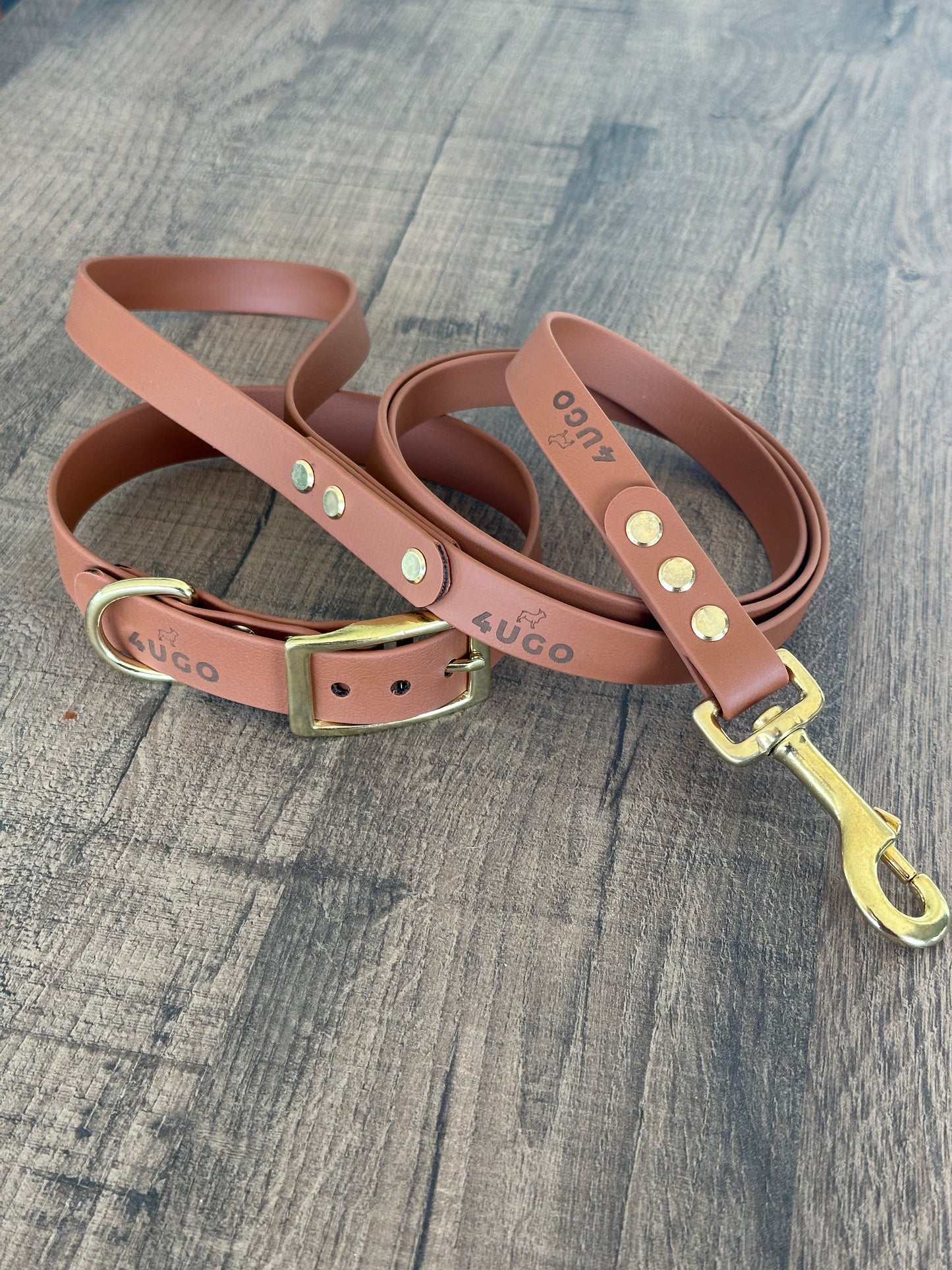 Set collare e guinzaglio per cani in BioThane® con QR-code