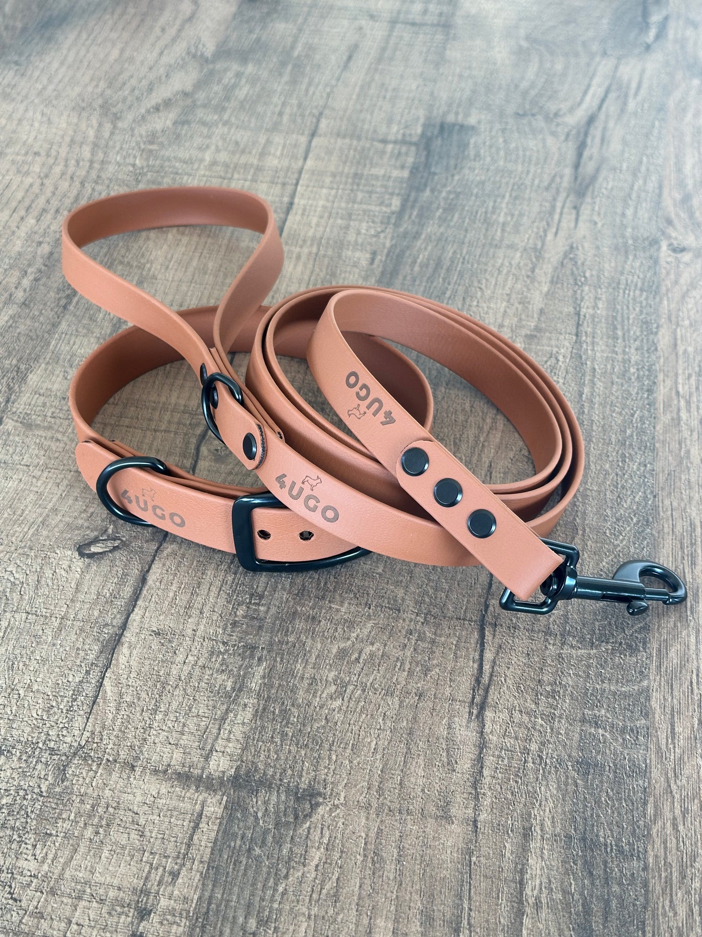 Set collare e guinzaglio per cani in BioThane® con QR-code