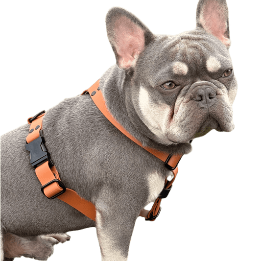 Pettorina ad H in BioThane® - 4UGO