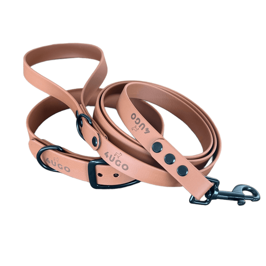 Set collare e guinzaglio per cani in BioThane® con QR - code - 4UGO