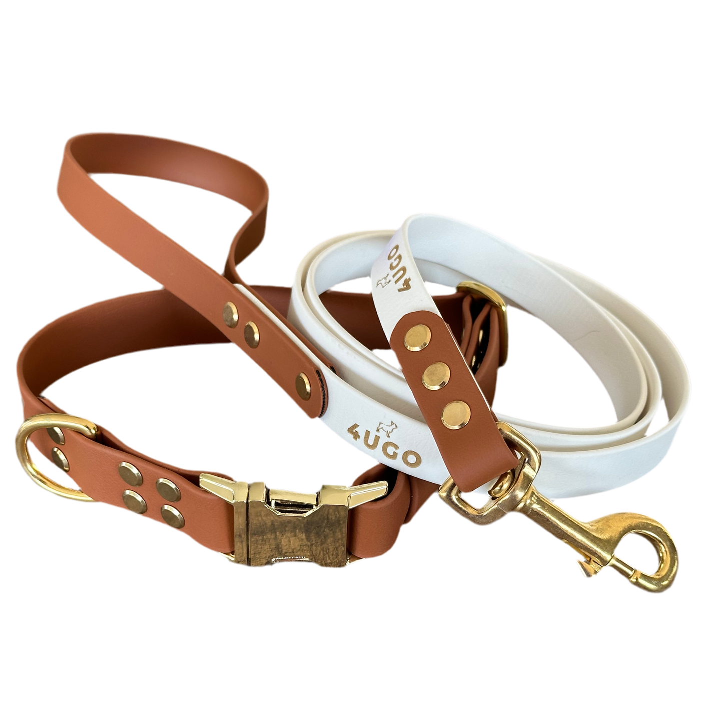 Set bicolore collare e guinzaglio per cani in BioThane® con QR-code