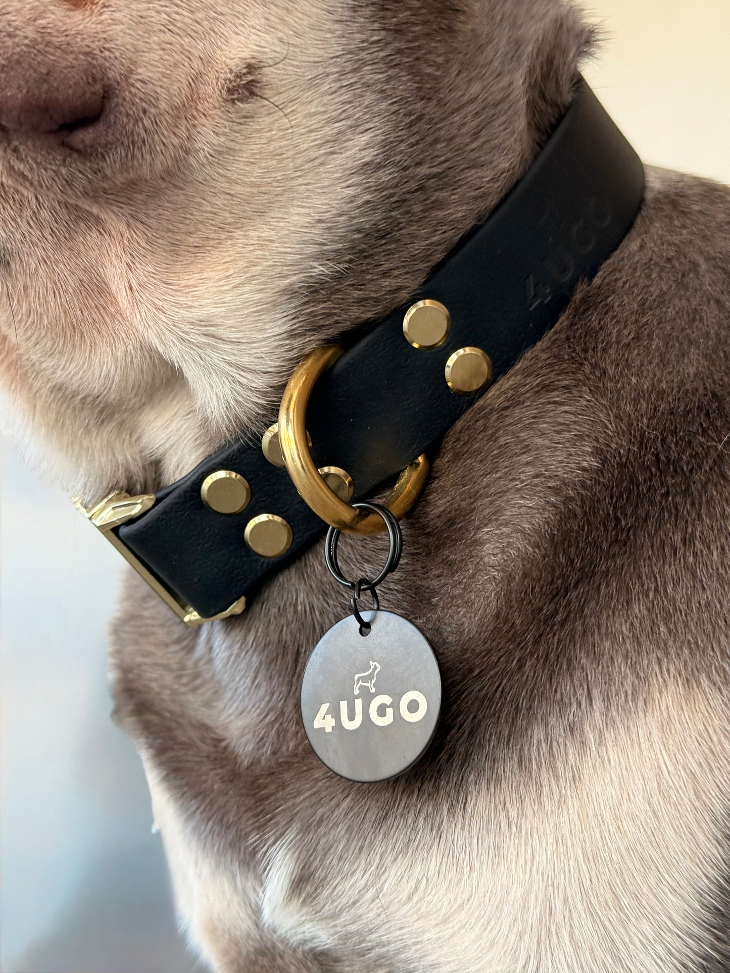 Medaglietta personalizzata per Cani