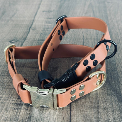 Set collare e guinzaglio per cani in BioThane® con QR-code