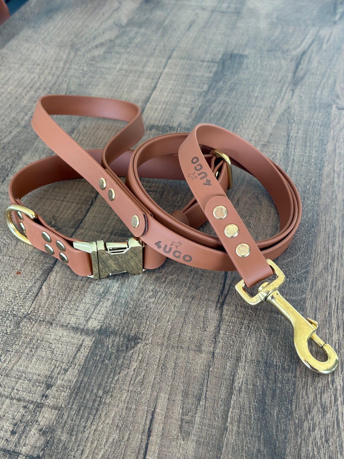 Set collare e guinzaglio per cani in BioThane® con QR-code
