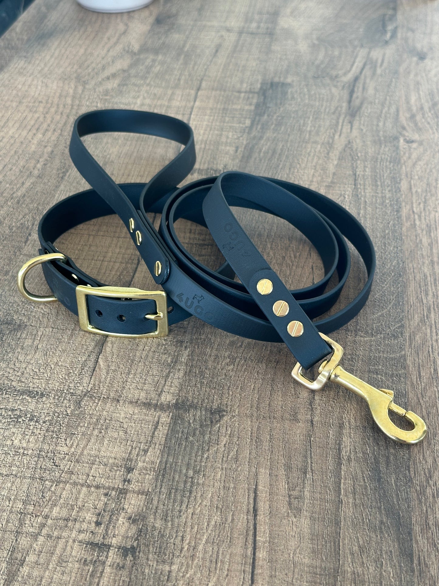 Set collare e guinzaglio per cani in BioThane® con QR-code