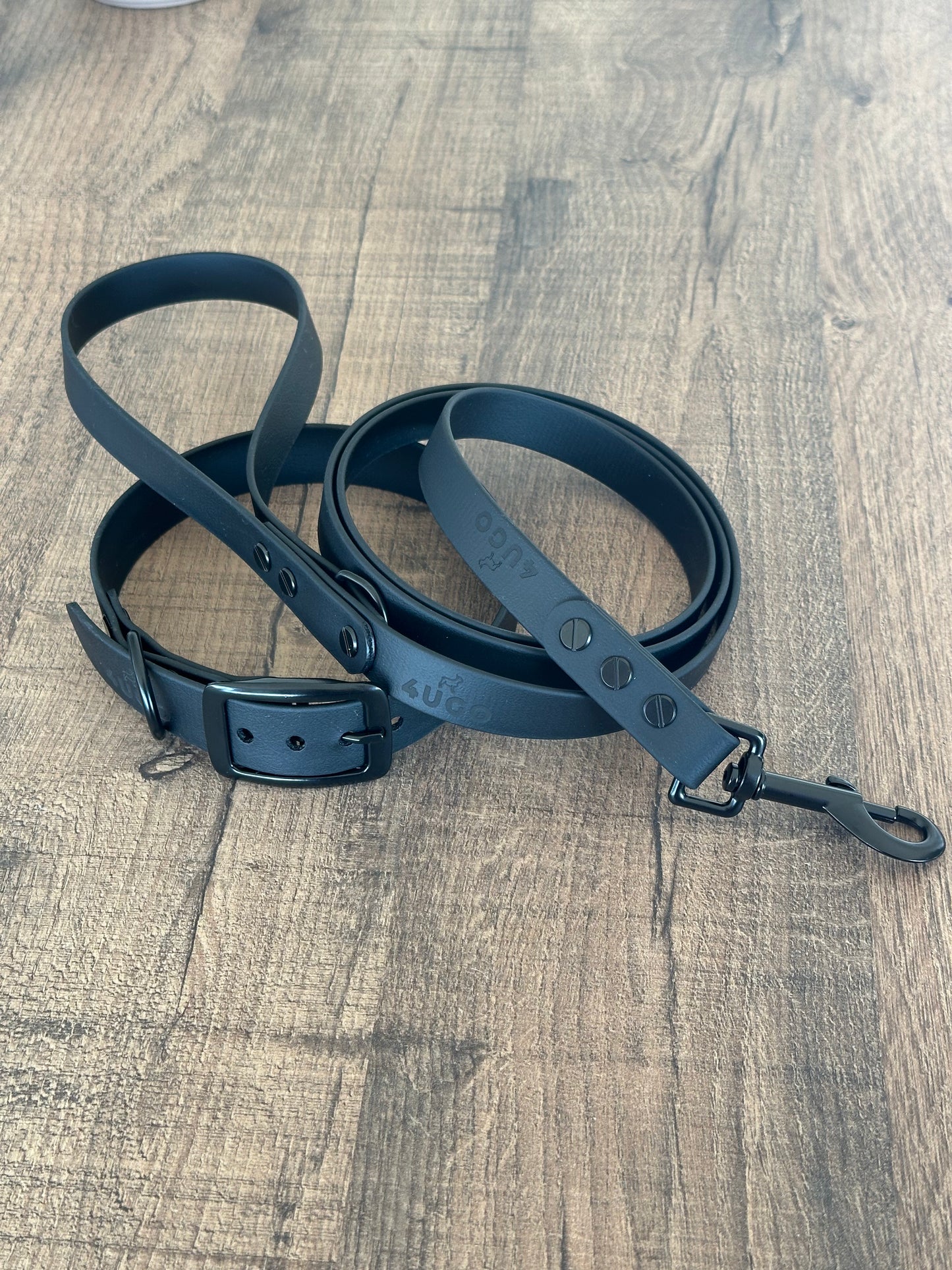 Set collare e guinzaglio per cani in BioThane® con QR-code