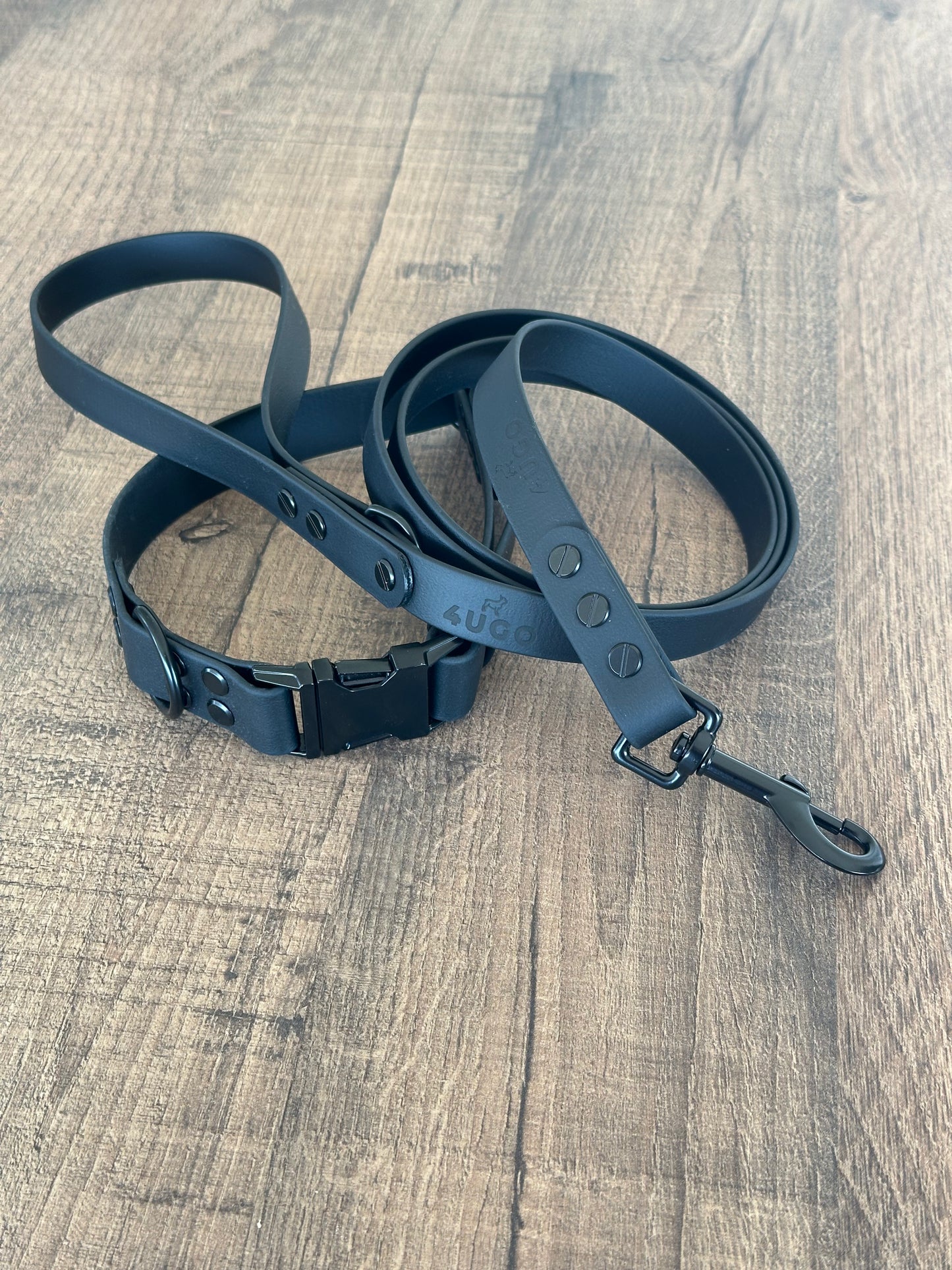 Set collare e guinzaglio per cani in BioThane® con QR-code
