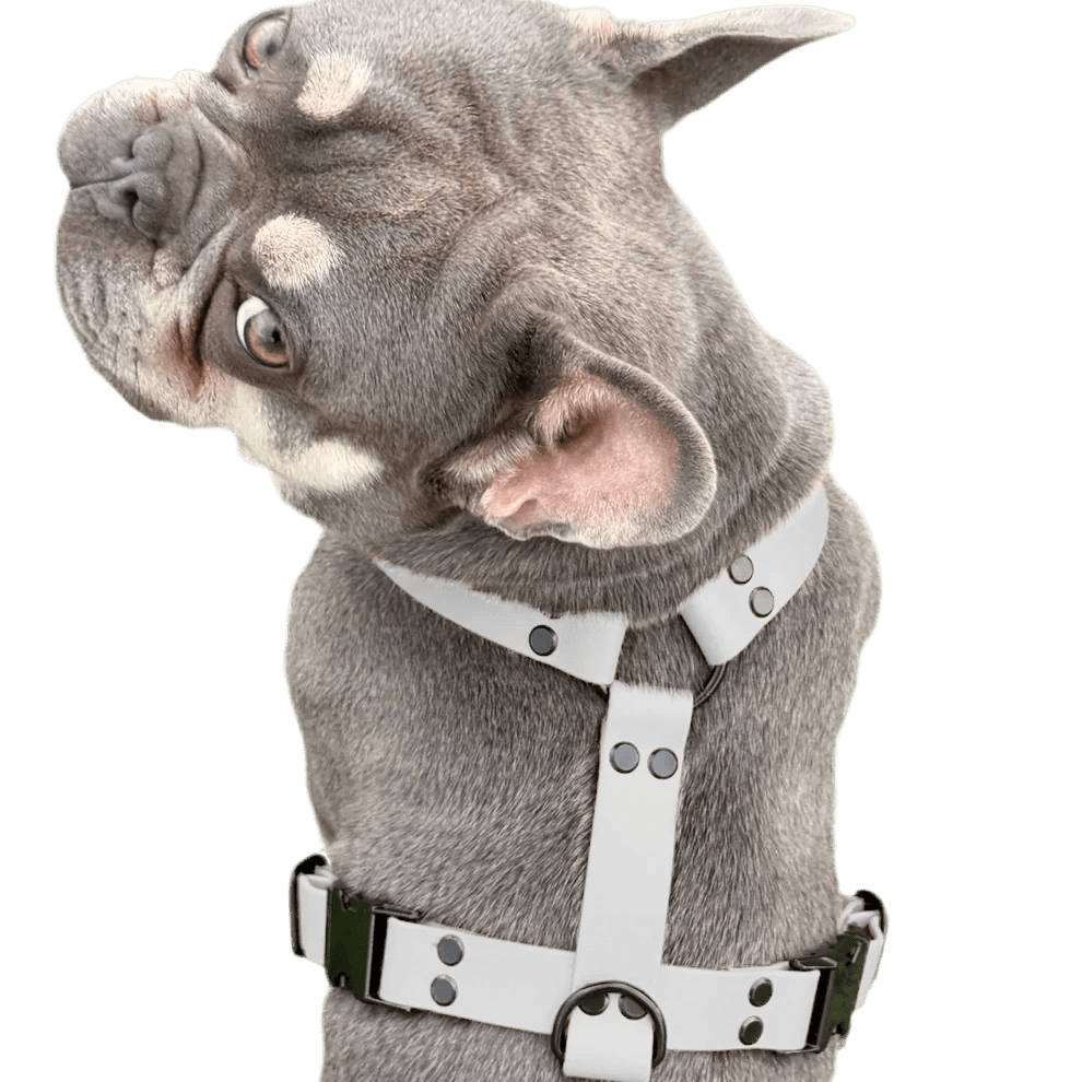 Pettorina ad H in BioThane® - 4UGO