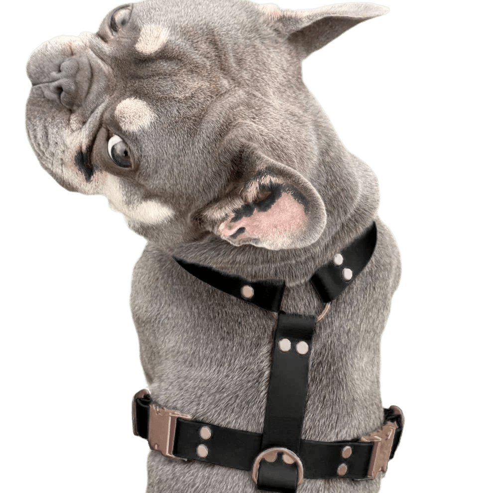 Pettorina ad H in BioThane® - 4UGO