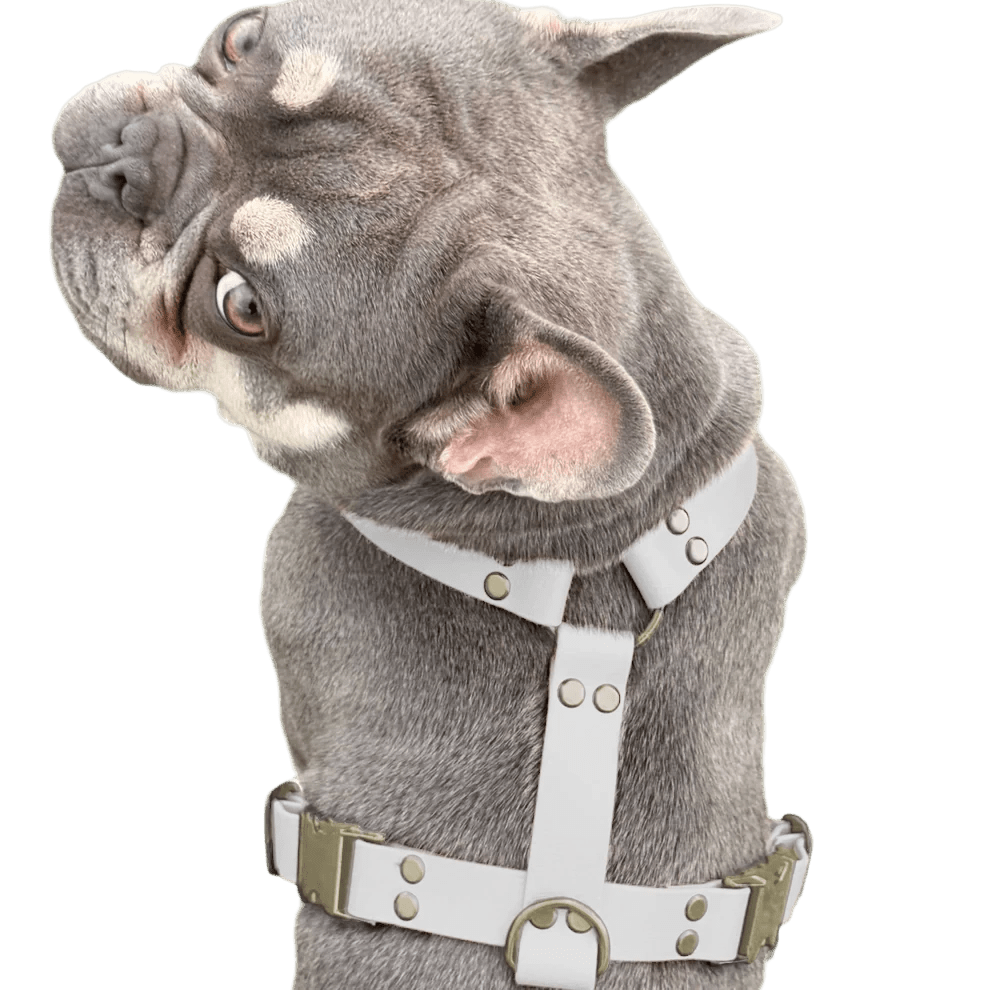 Pettorina ad H in BioThane® - 4UGO