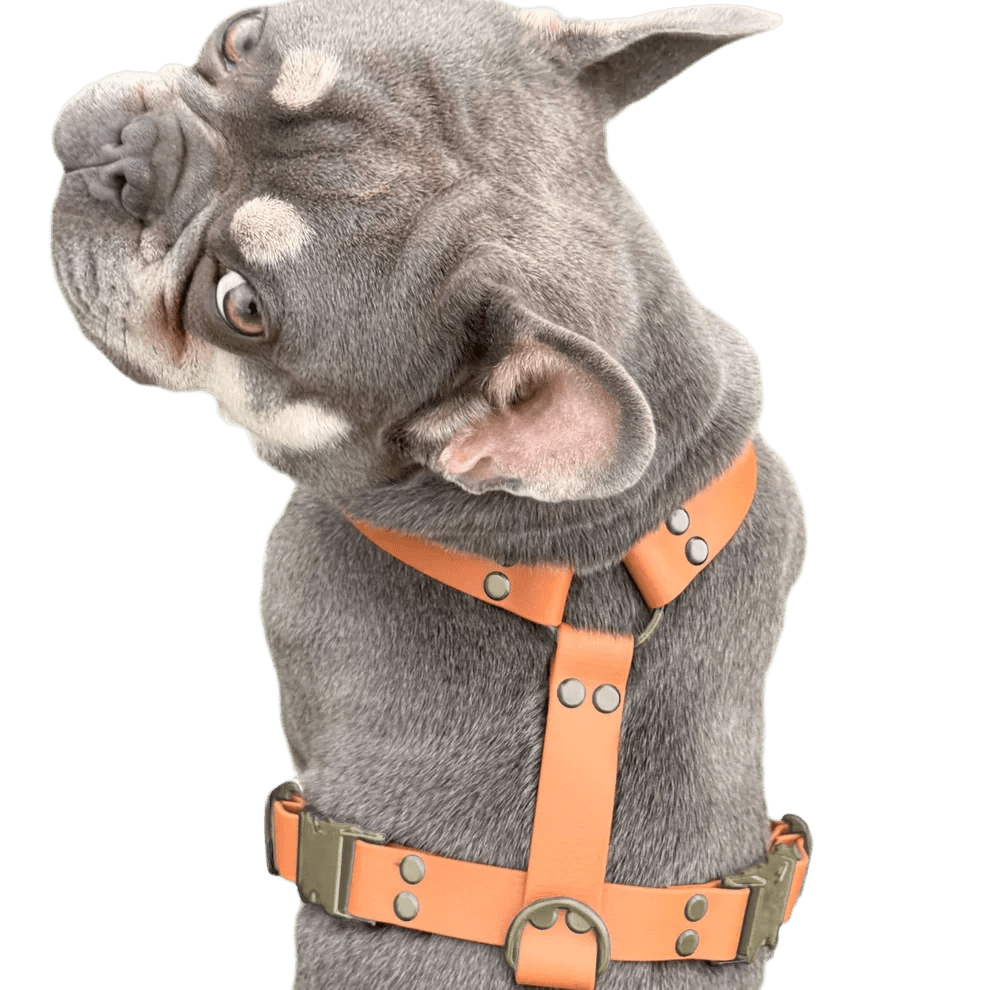 Pettorina ad H in BioThane® - 4UGO