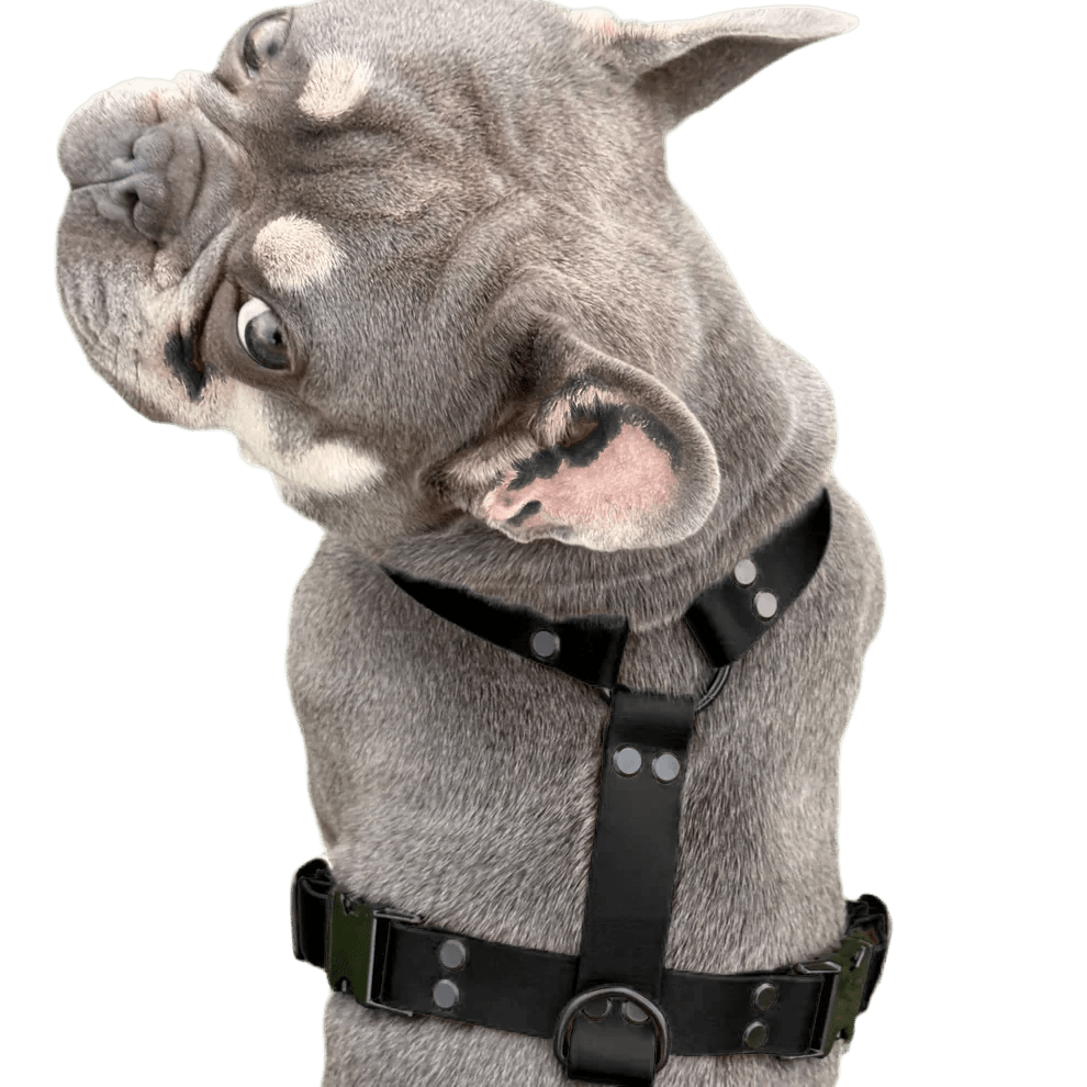 Pettorina ad H in BioThane® - 4UGO