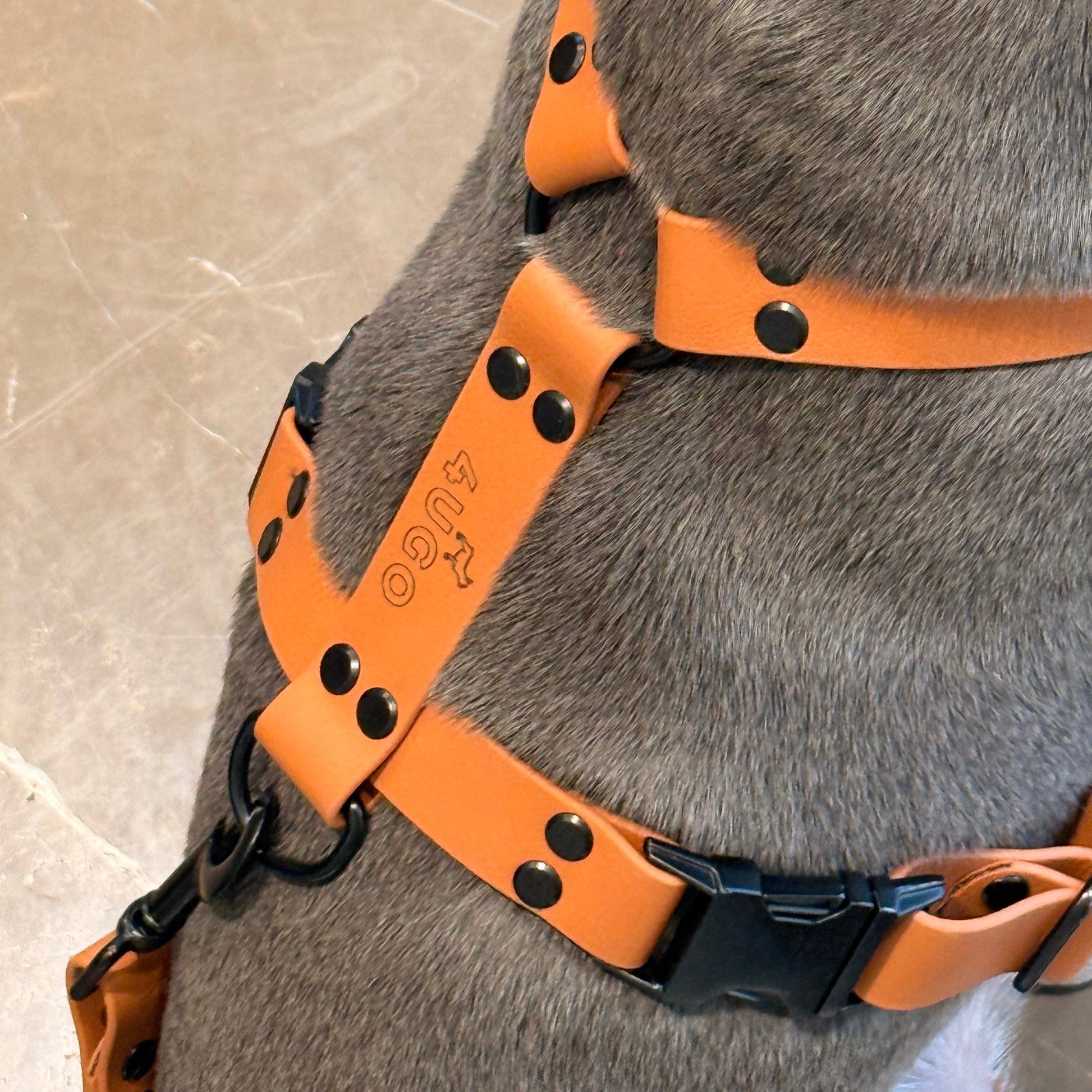Pettorina ad H in BioThane® - 4UGO