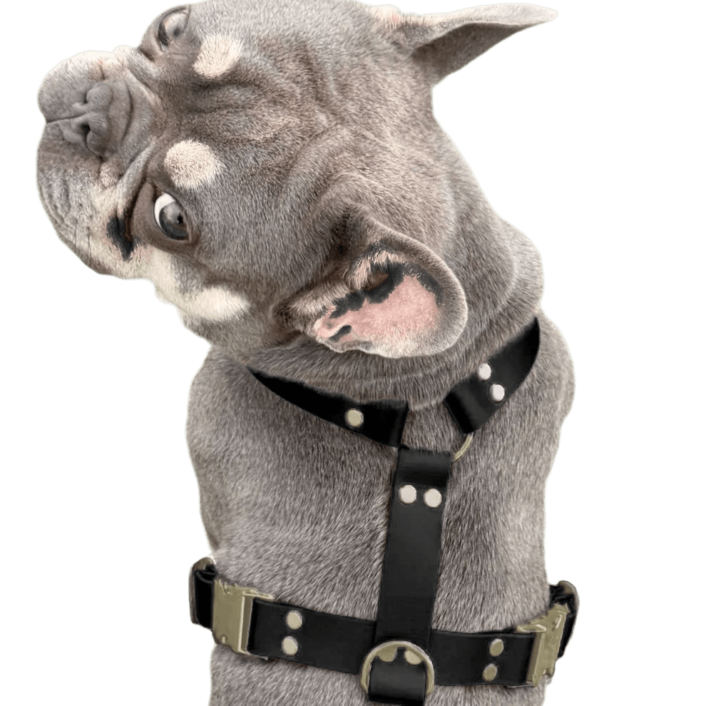 Pettorina ad H in BioThane® - 4UGO