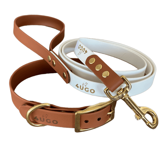 Set bicolore collare e guinzaglio per cani in BioThane® con QR - code - 4UGO