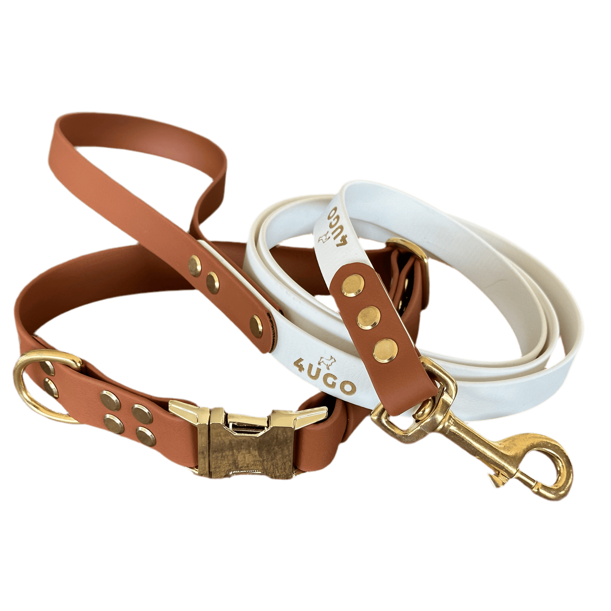 Set bicolore collare e guinzaglio per cani in BioThane® con QR - code - 4UGO