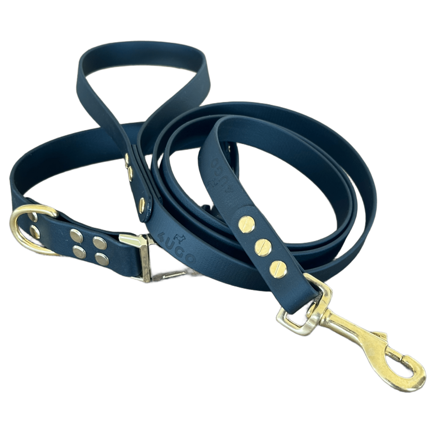 Set collare e guinzaglio per cani in BioThane® con QR-code