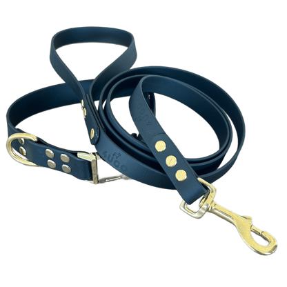 Set collare e guinzaglio per cani in BioThane® con QR-code