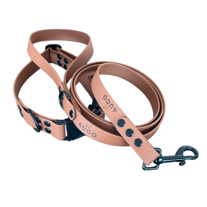 Set collare e guinzaglio per cani in BioThane® con QR-code