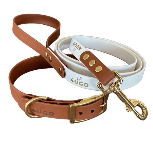 Set bicolore collare e guinzaglio per cani in BioThane® con QR-code