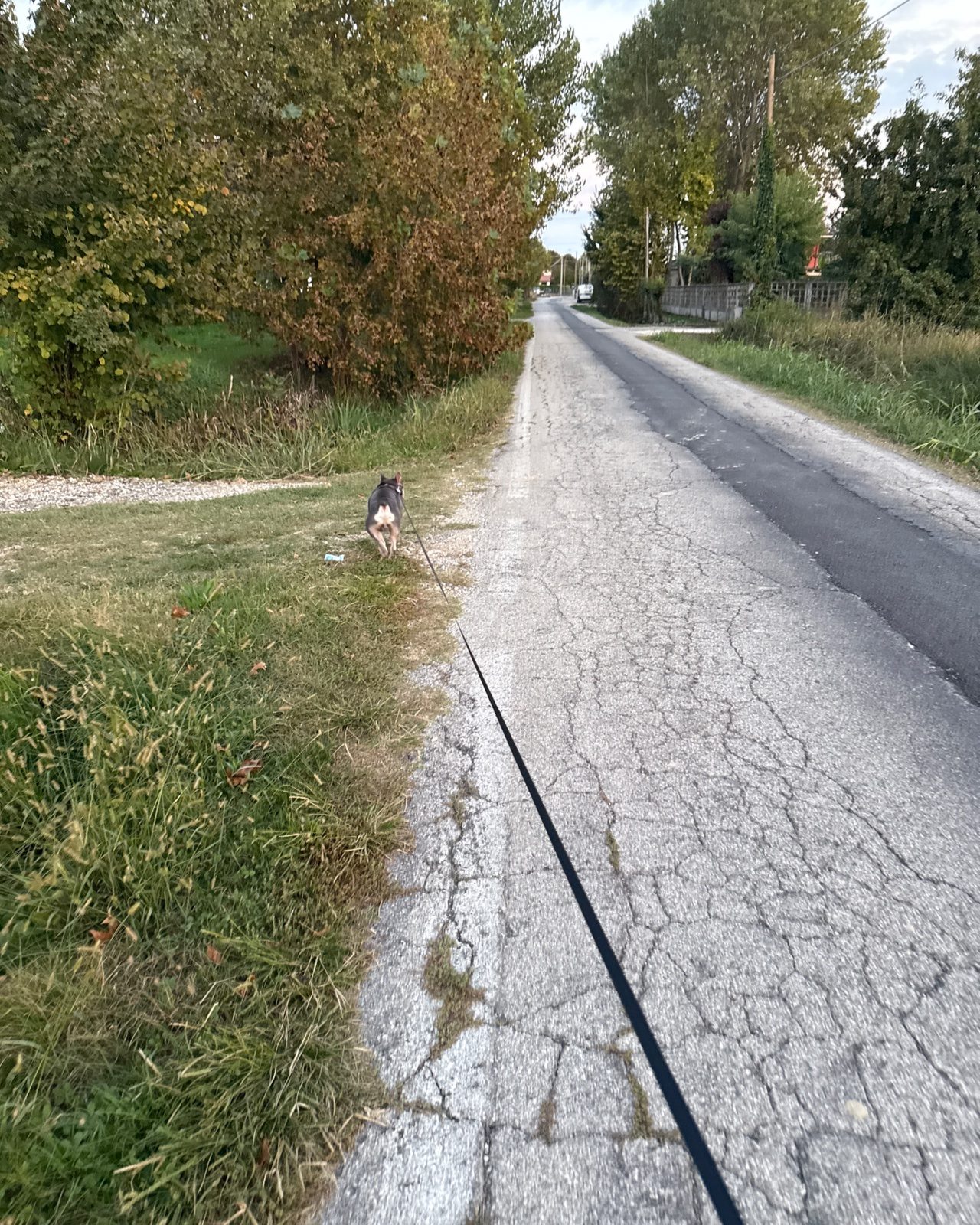 Odino, foto 1 di 1